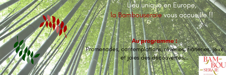 Visitez la Bambouseraie !